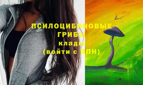 прущие крисы Белокуриха
