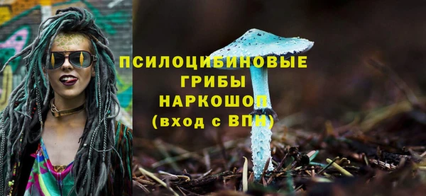 прущие крисы Белокуриха