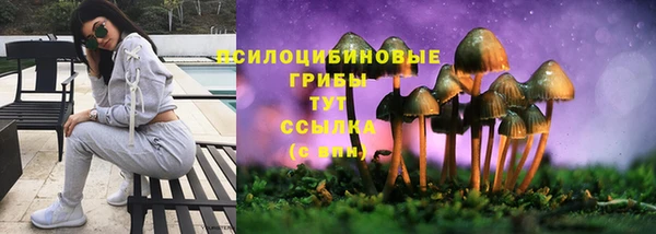 Альфа ПВП Беломорск