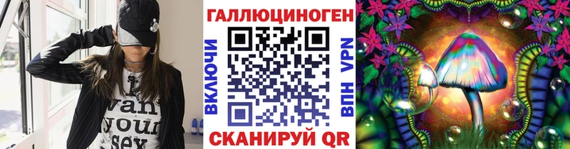 купить наркотики сайты  Верхотурье  Псилоцибиновые грибы MAGIC MUSHROOMS 